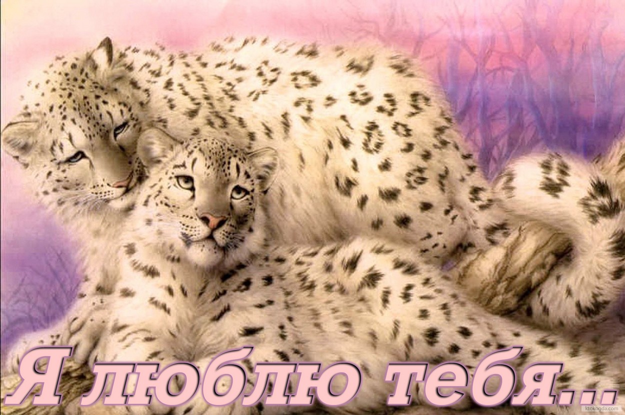 Открытка я люблю тебя, животные