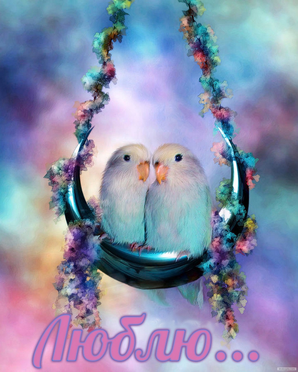 Открытка люблю, пара попугаев