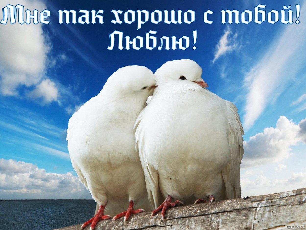 Открытка мне хорошо с тобой, люблю, голуби