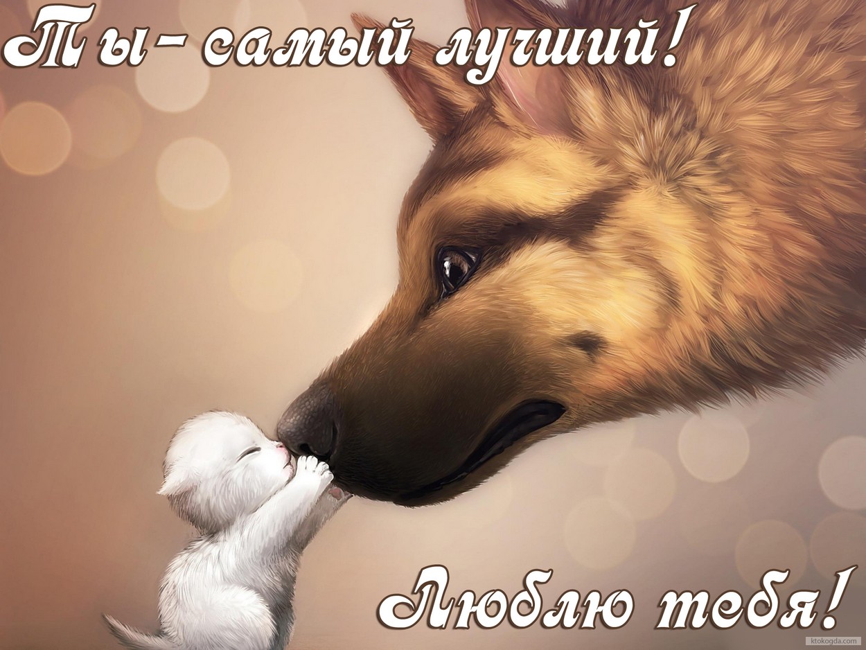Открытка ты-самый лучший, люблю тебя, котенок и собака