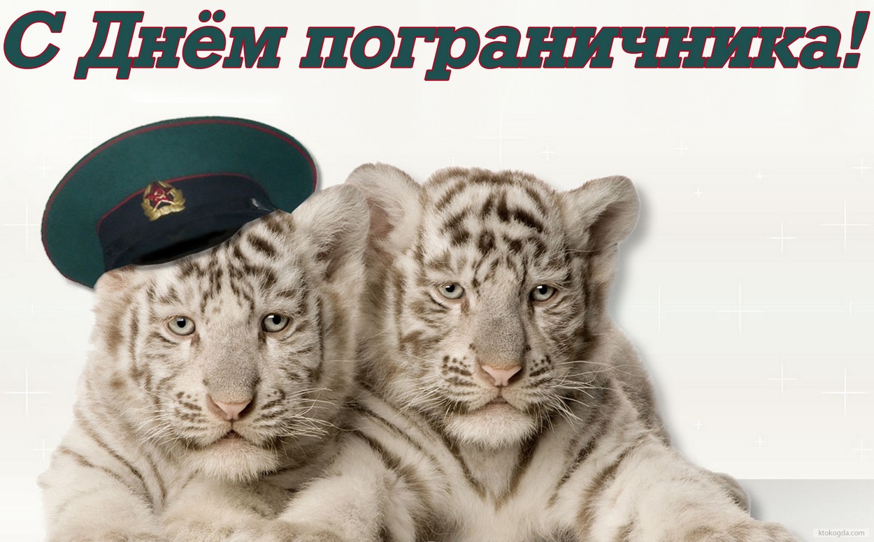 Открытка с днем пограничника, тигры и фуражка