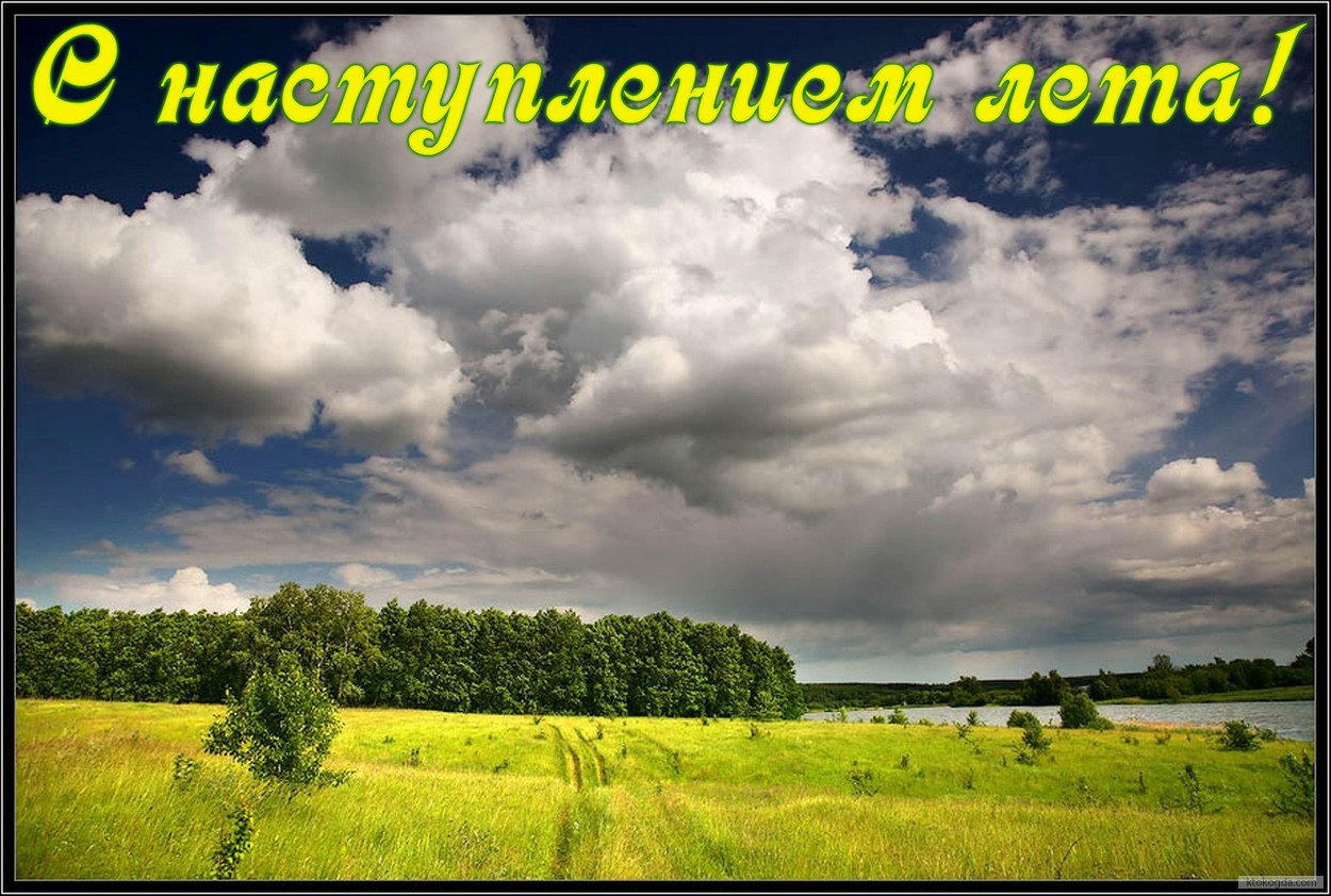 Открытка с наступлением лета, природа