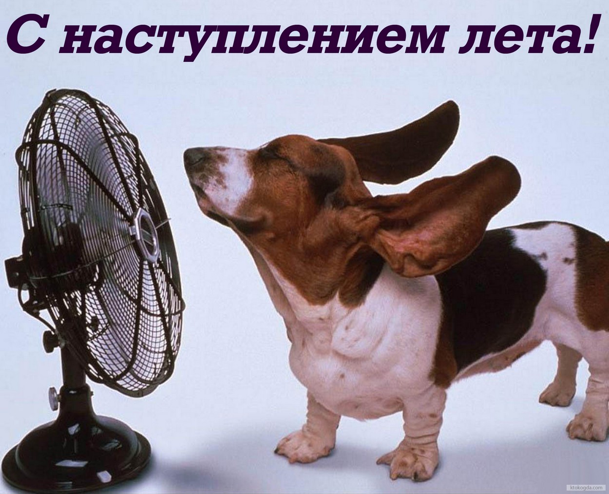 Открытка с наступлением лета прикольная