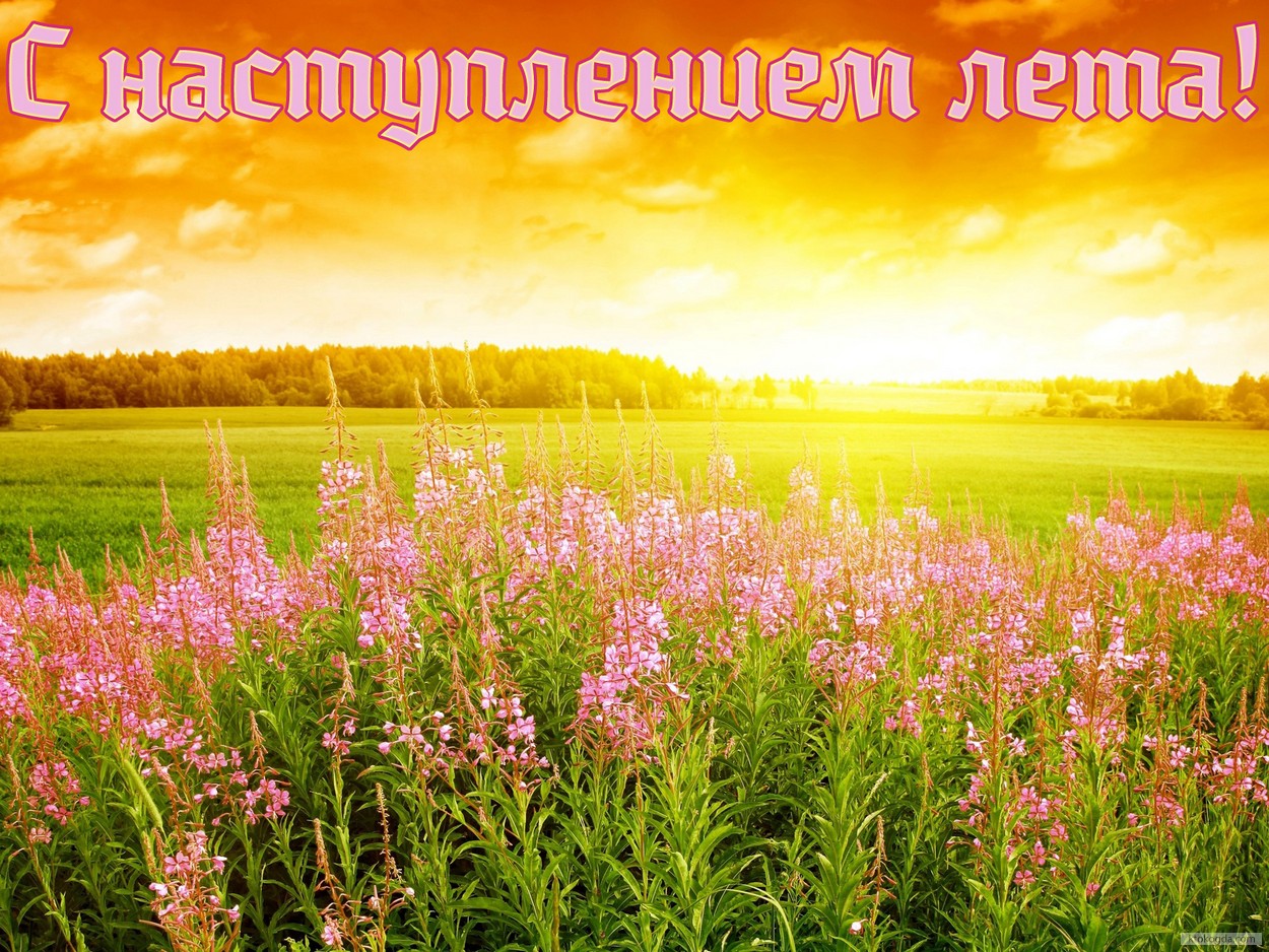 Открытка с наступлением лета, природа