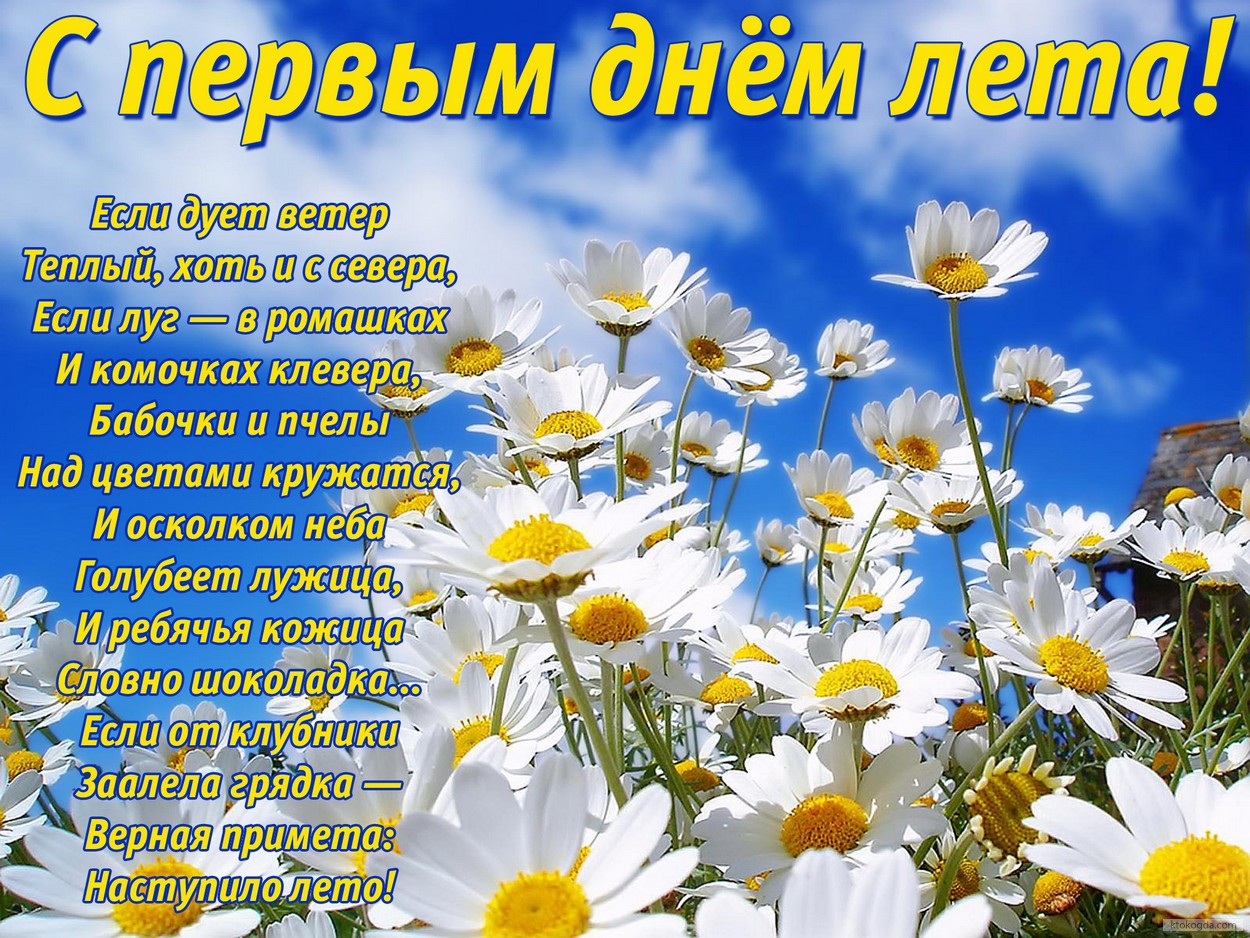 Открытка с первым днем лета с стихотворением, ромашки