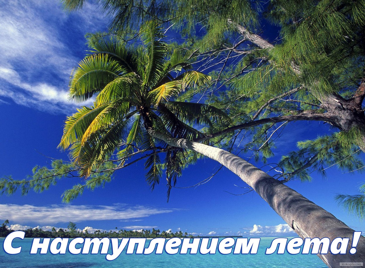 Открытка с наступлением лета, море и пальмы