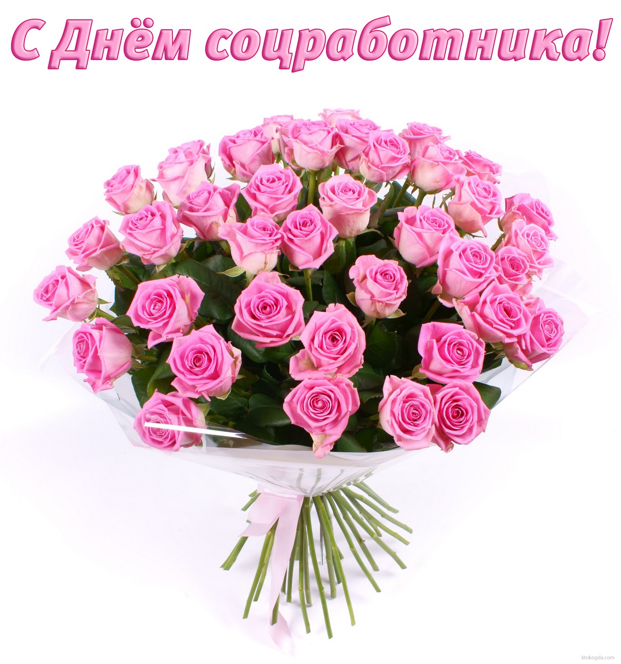 Открытка с Днем соцработника, цветы, розы