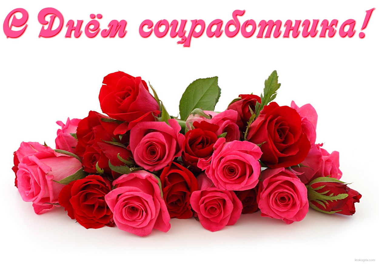 Открытка с Днём соцработника, цветы, розы