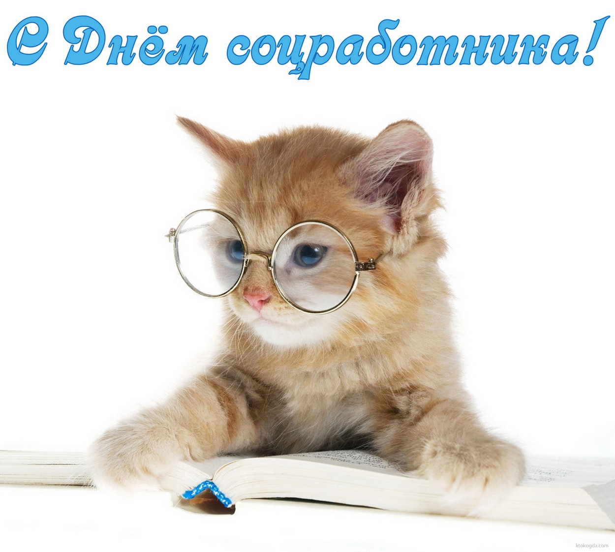 Открытка с Днём соцработника прикольная