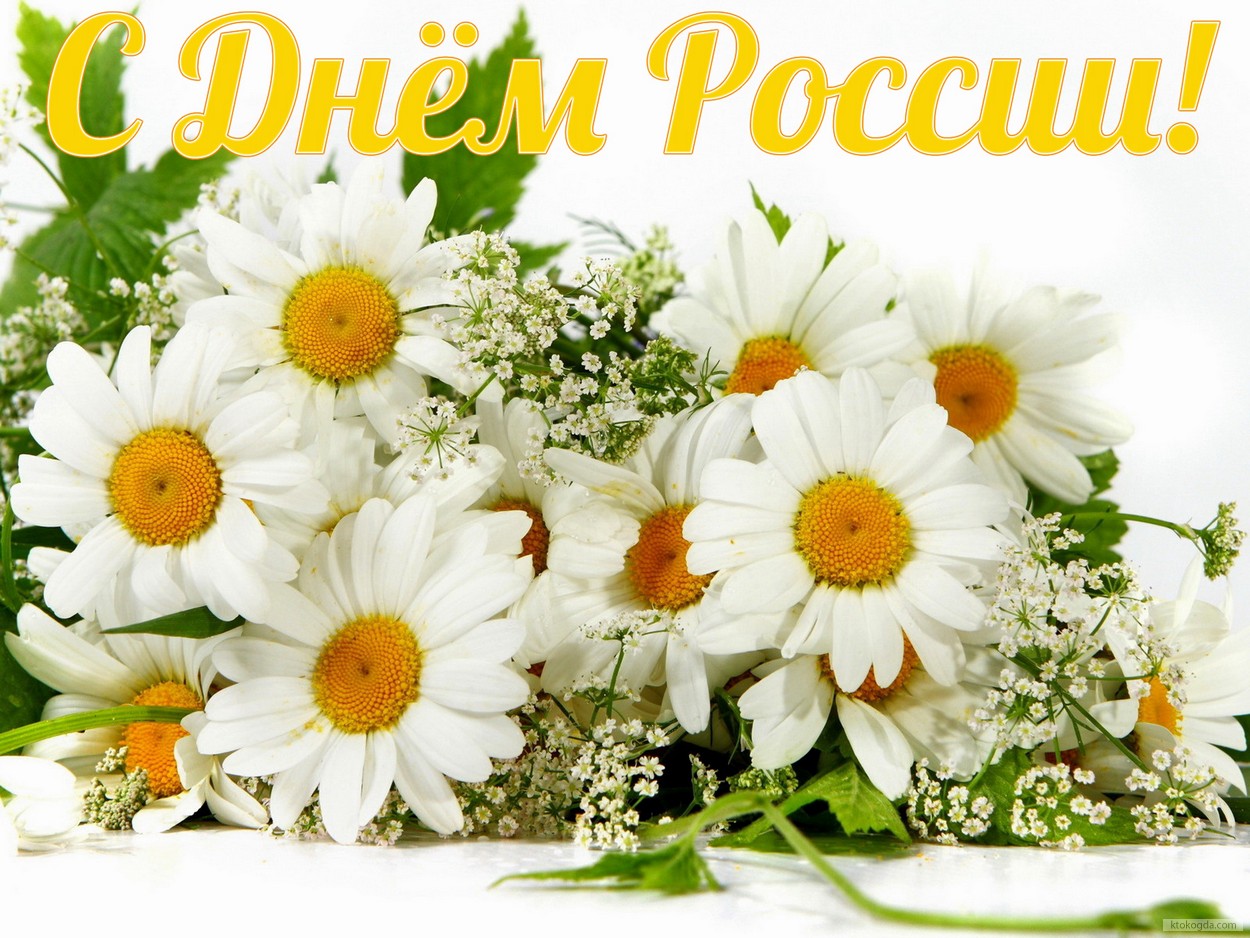 Открытка с Днем России, ромашки