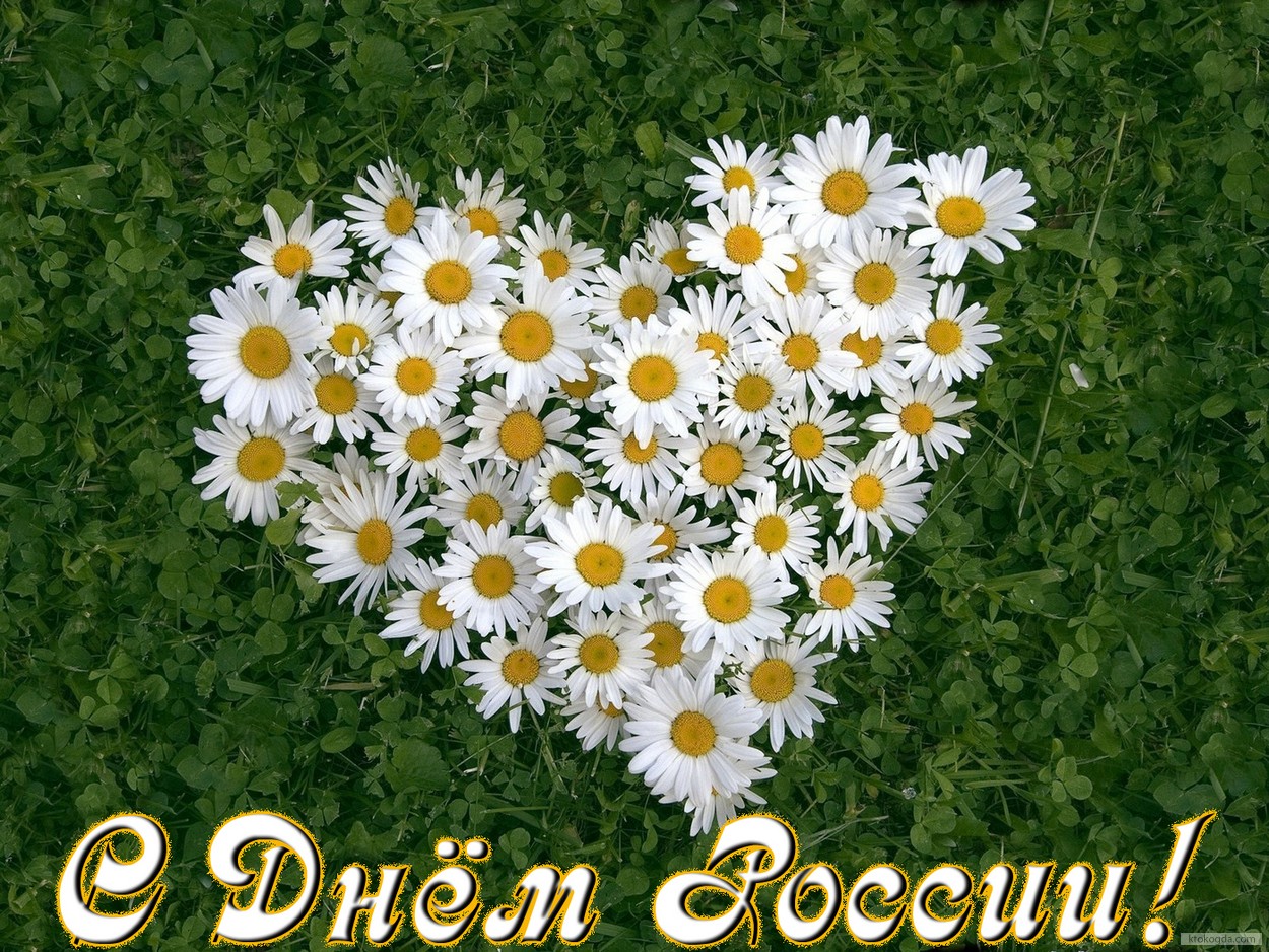 Открытка с Днем России, ромашки в форме сердца