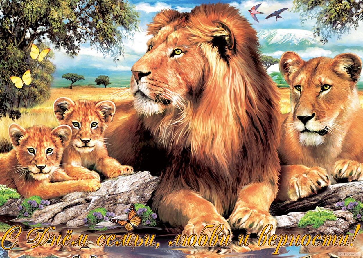 Открытка с Днем семьи, любви и верности, семья львов