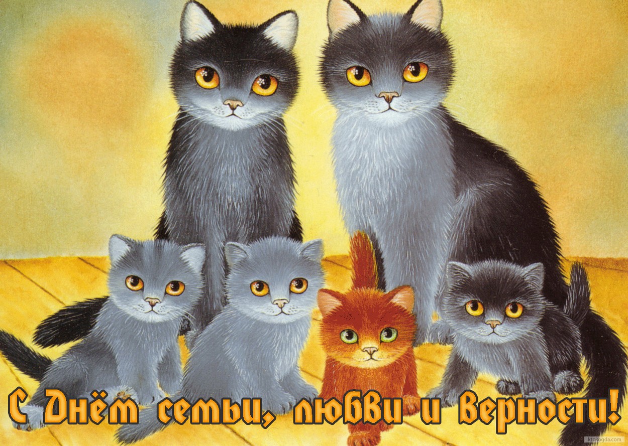 Открытка с Днем семьи, любви и верности, семья котов