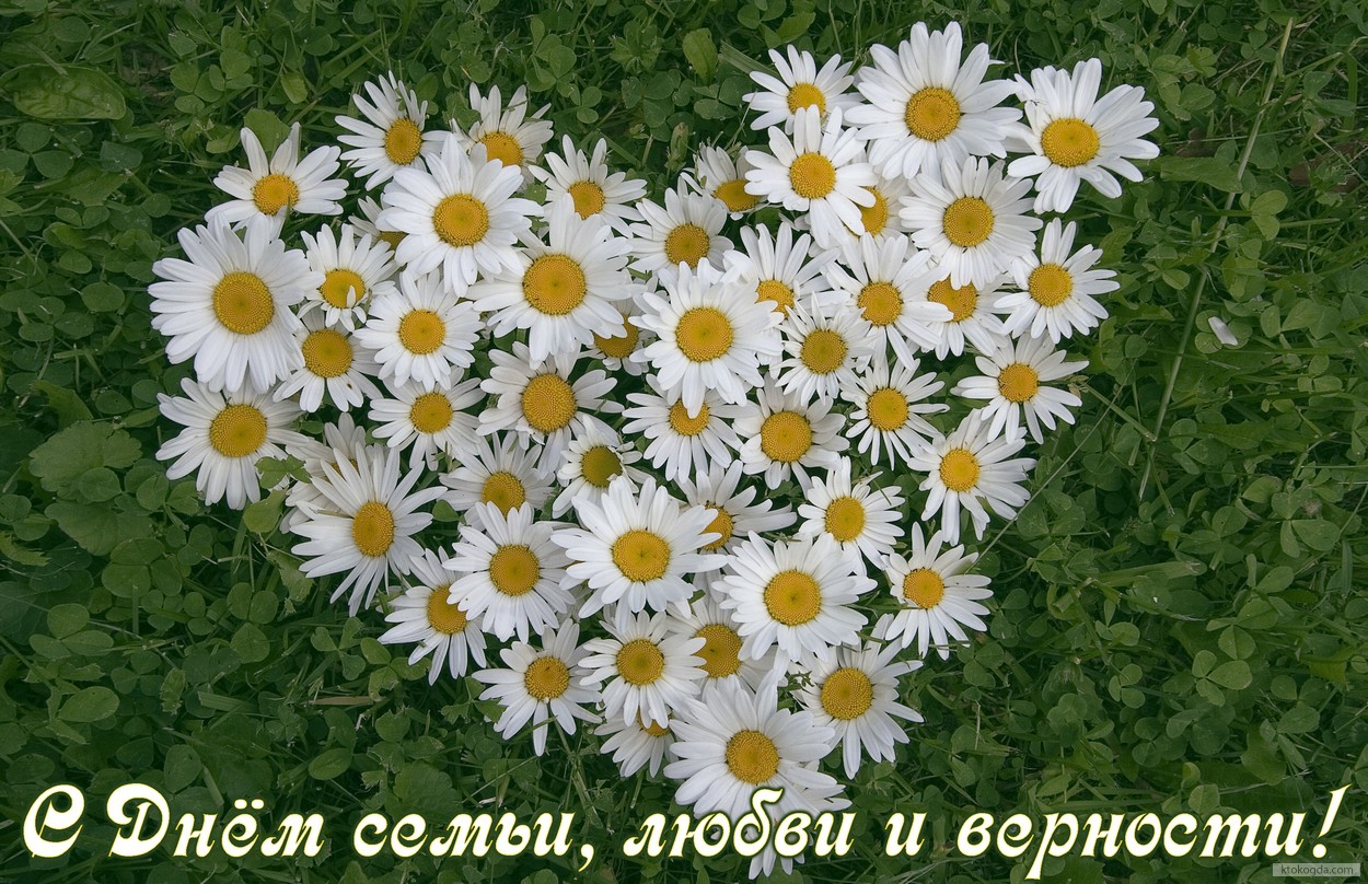 Открытка с Днем семьи, любви и верности, сердце из ромашек