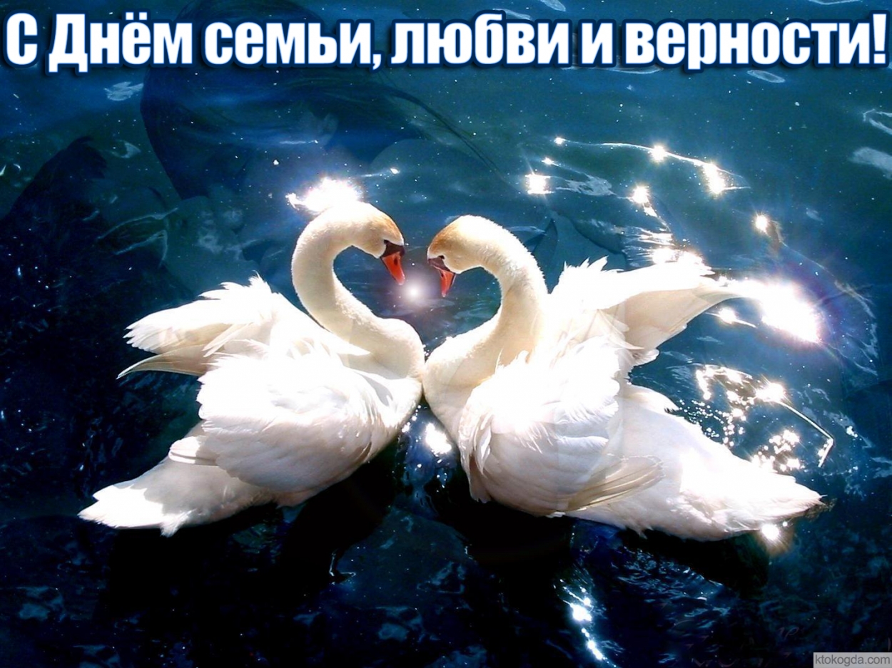 Открытка с Днем семьи, любви и верности, лебеди