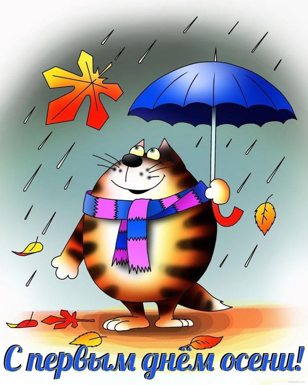 Открытка с первым днём осени прикольная, кот