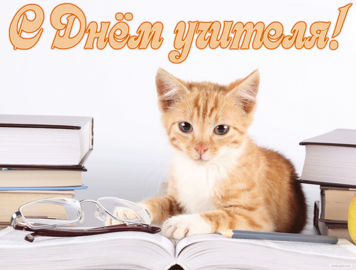 Открытка с Днем учителя, кот