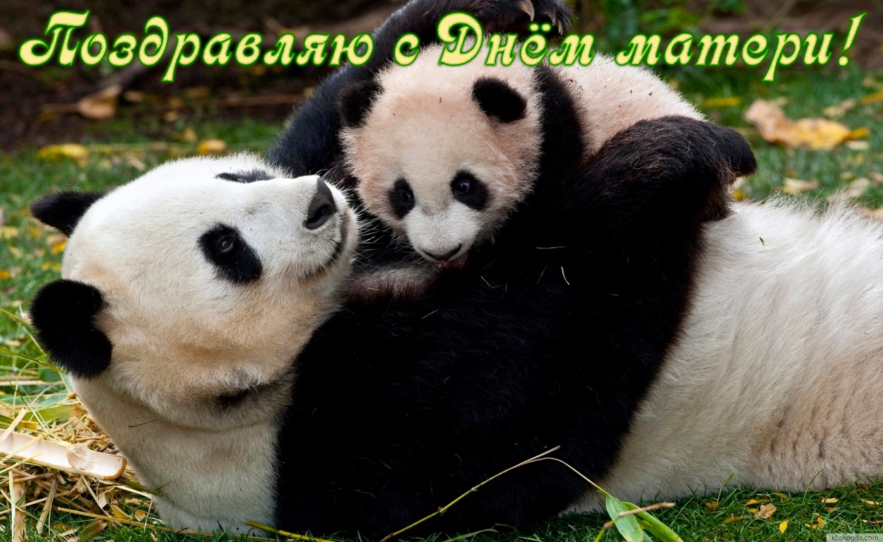 Открытка Поздравляю с Днем матери