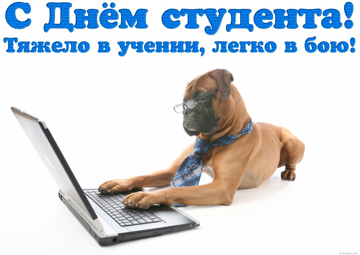 Открытка с Днем студента прикольная, тяжело в учении - легко в бою
