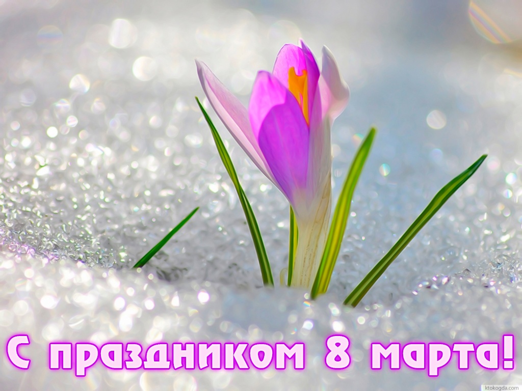 Открытка с 8 марта, подснежник