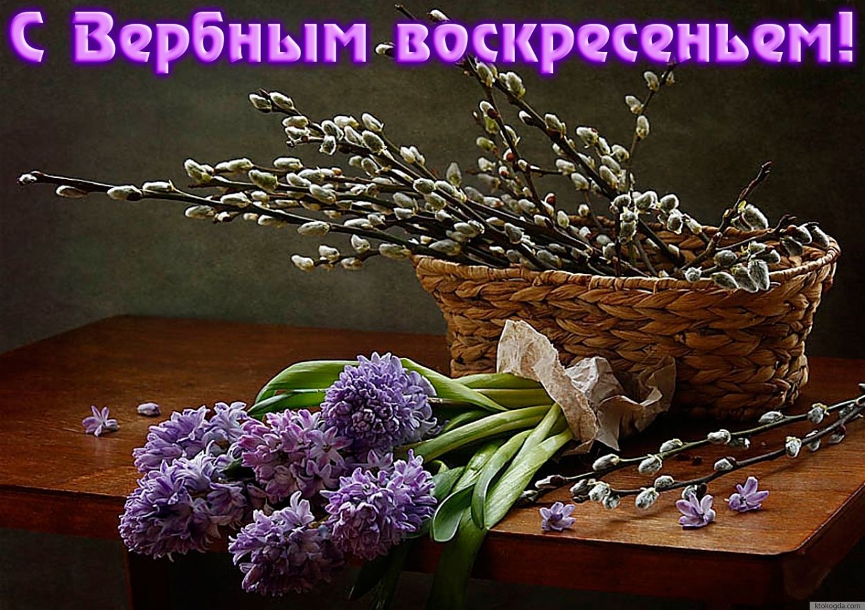 Открытка с вербным воскресеньем