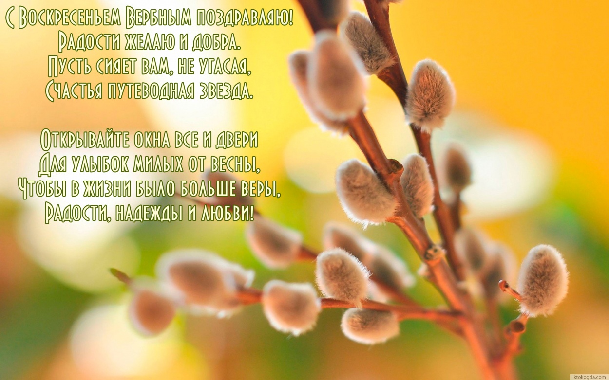 Открытка с вербным воскресеньем, поздравление