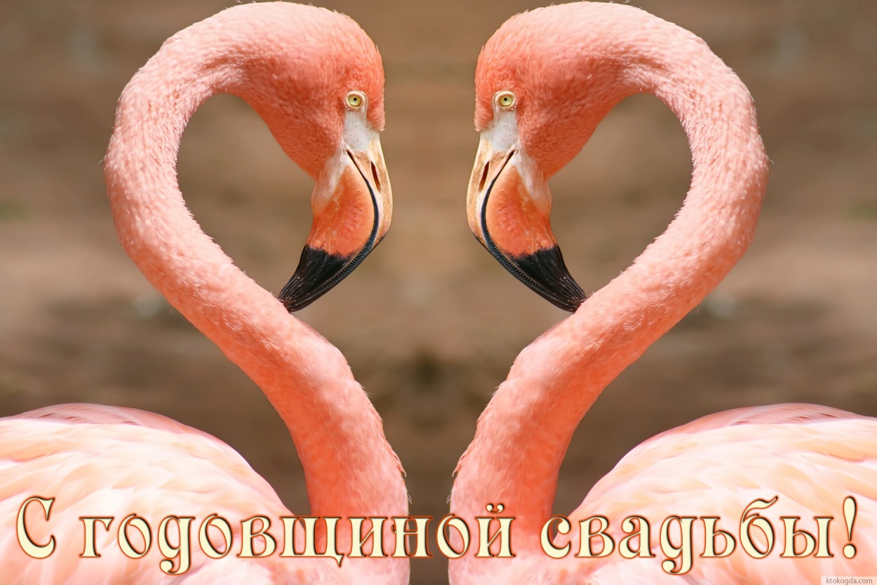 Открытка с годовщиной свадьбы оригинальная