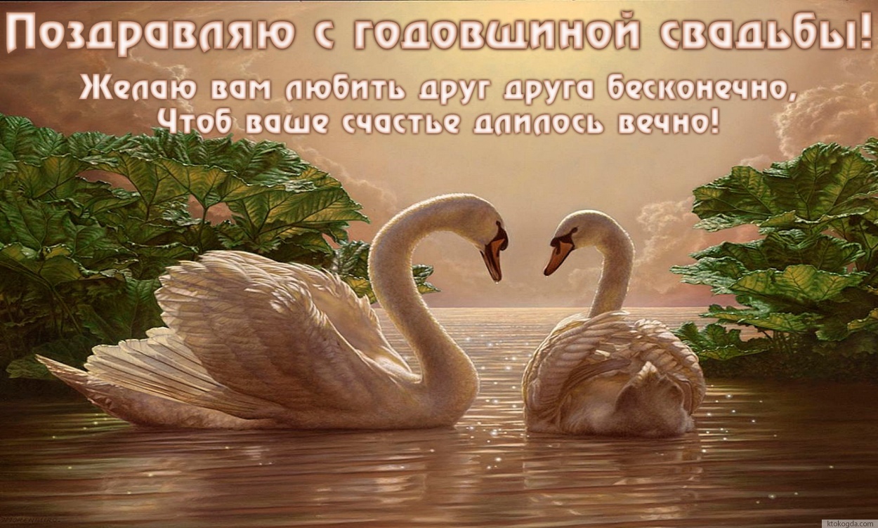 Открытка с годовщиной свадьбы, лебеди
