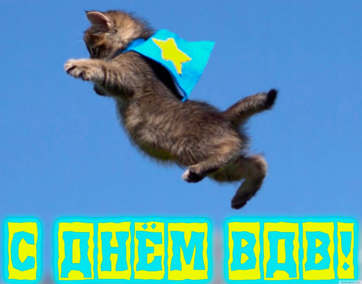 Открытка с Днем ВДВ прикольная, котенок