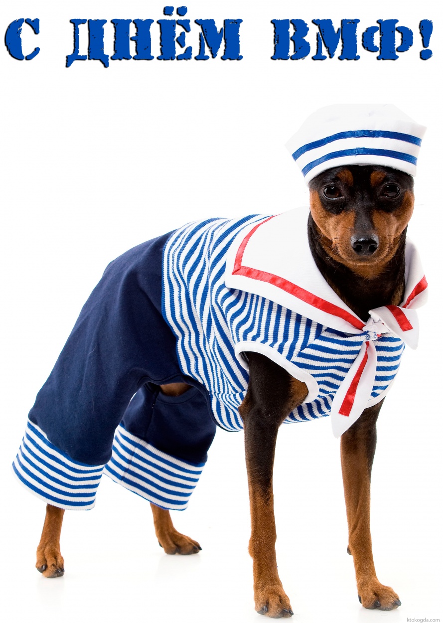 Открытка с Днем ВМФ прикольная, собака