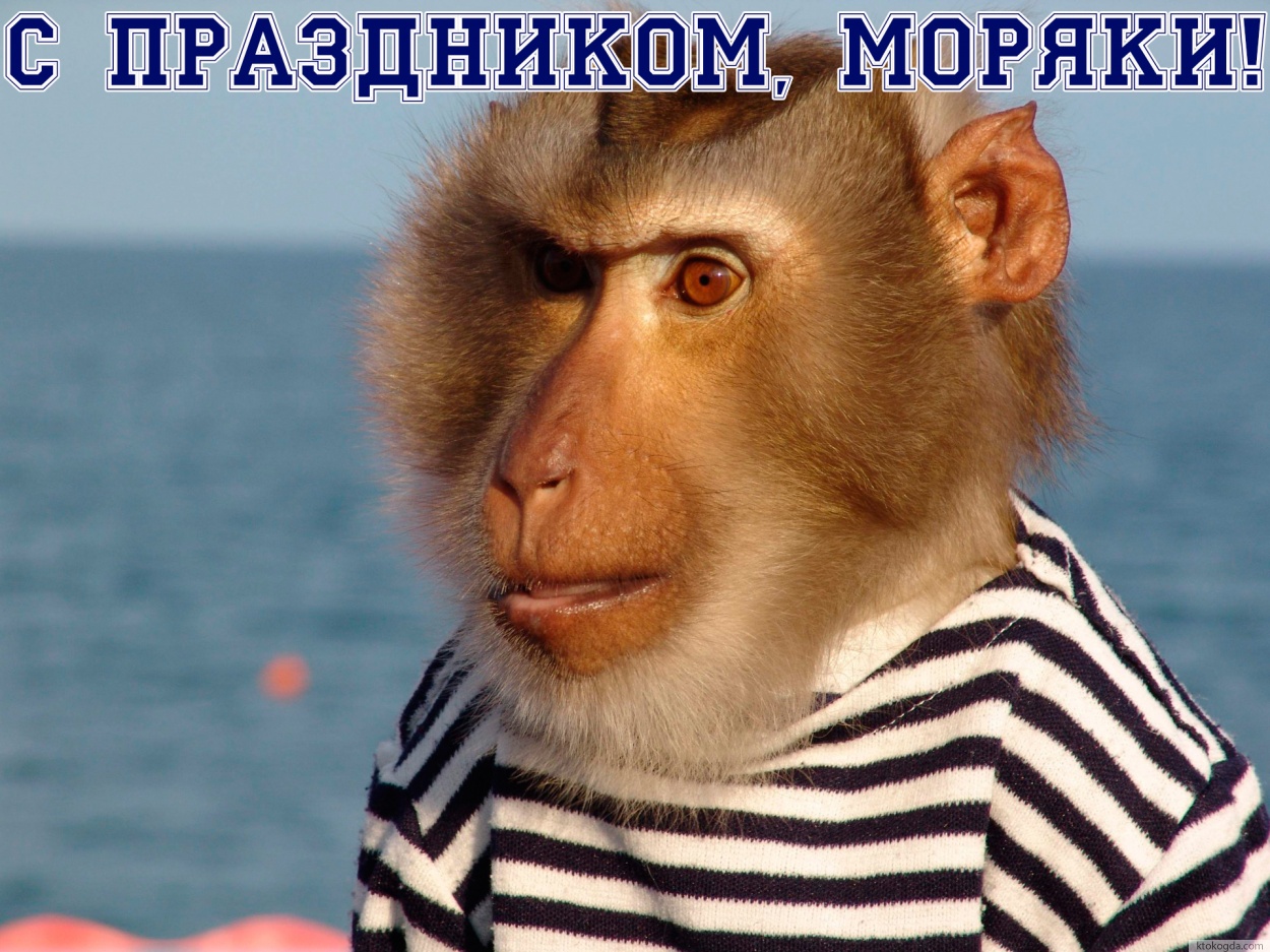 Открытка с праздником, моряки, прикольная, обезьяна