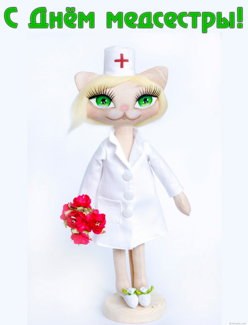 Открытка с Днем медсестры, красивая кошка