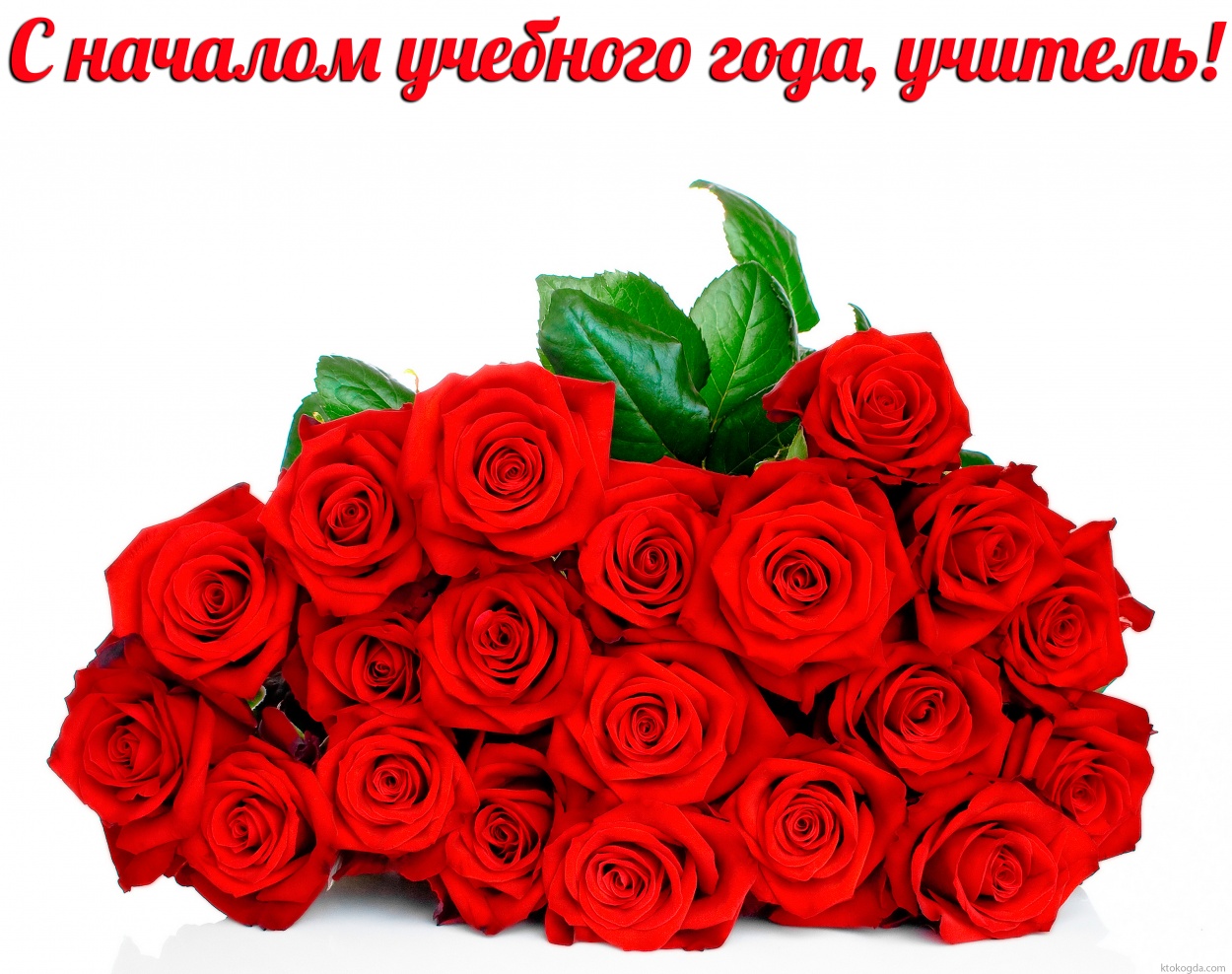 Открытка с началом учебного года для учителя, цветы