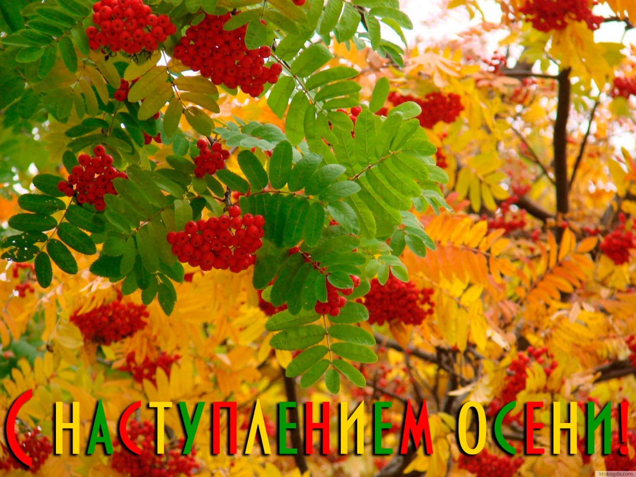 Открытка с наступлением осени, рябина