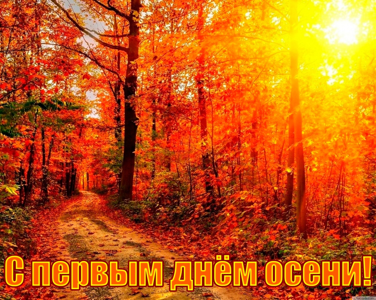 Открытка с первым днем осени красивая