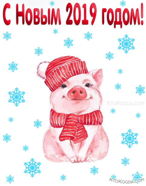 Открытка с Новым 2019 годом красивая, свинья