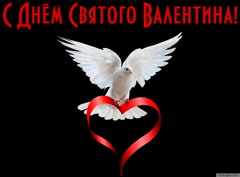 Открытка с Днем Святого Валентина красивая
