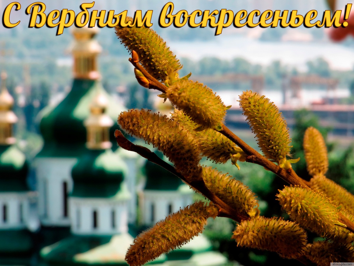 Открытка с Вербным воскресеньем красивая, верба и храм