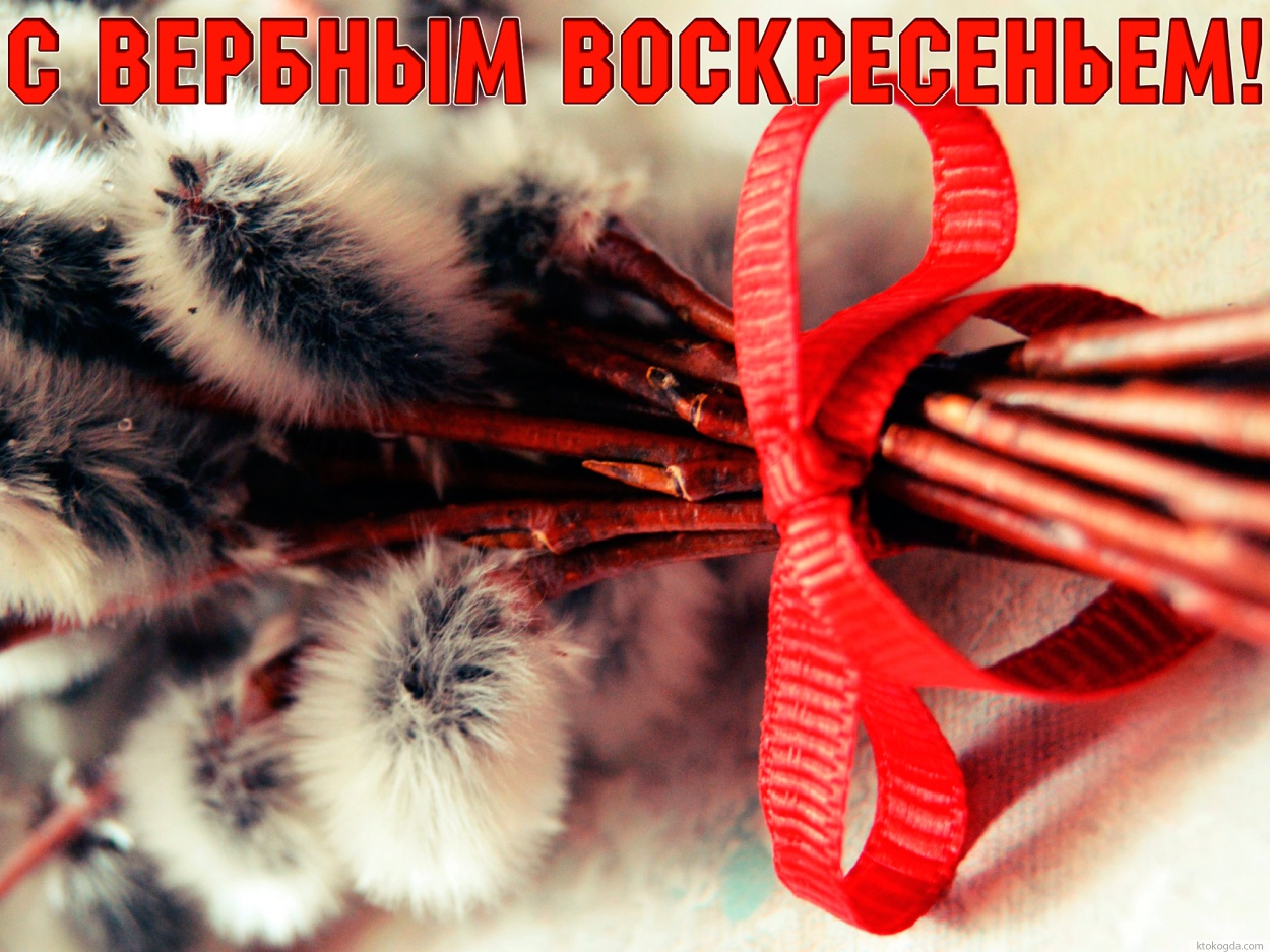 Открытка с Вербным воскресеньем красивая, верба с лентой