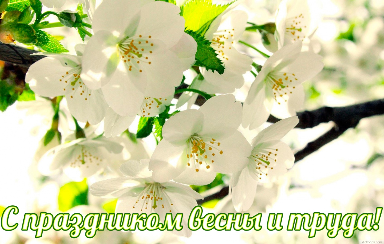 Открытка с праздником весны и труда красивая