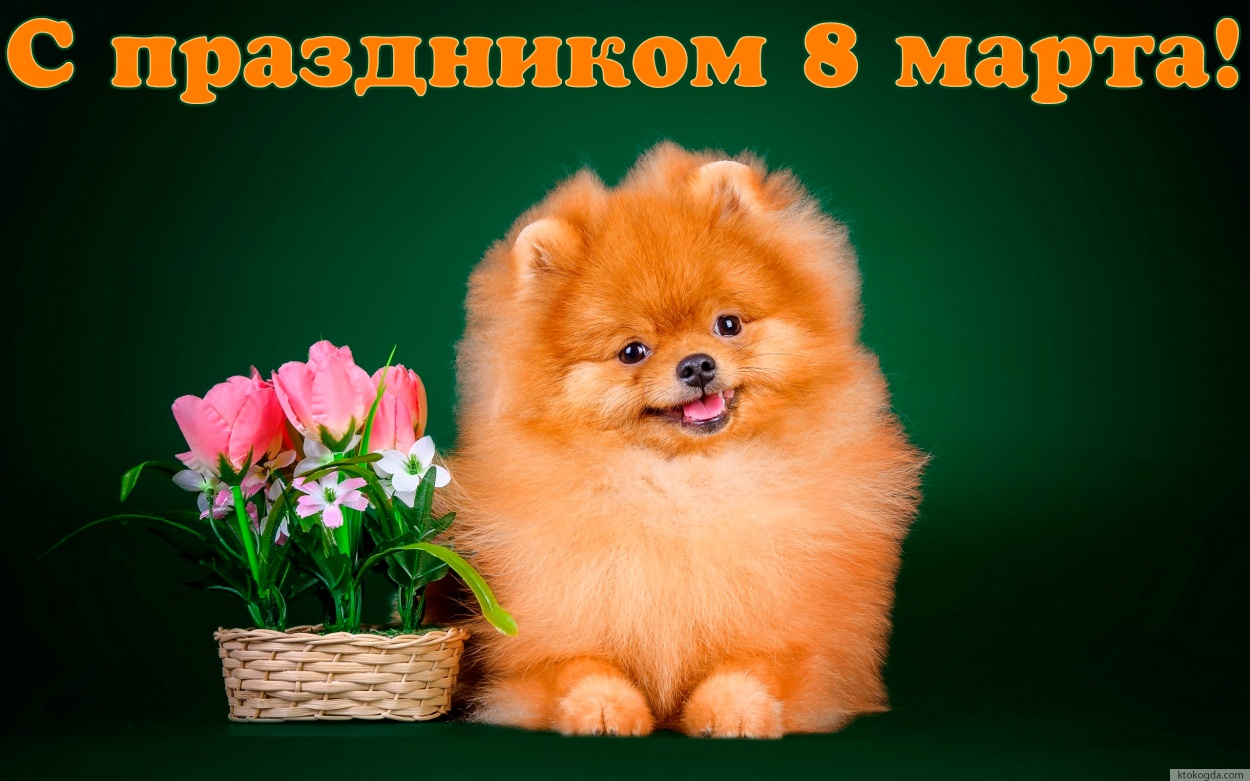 Открытка с праздником 8 марта