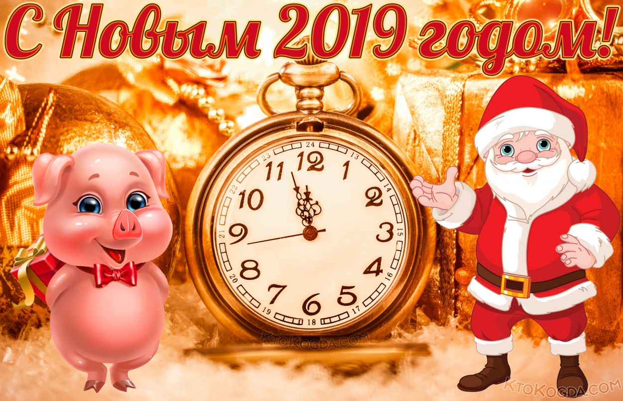 Открытка с Новым 2019 годом, свинья, Санта