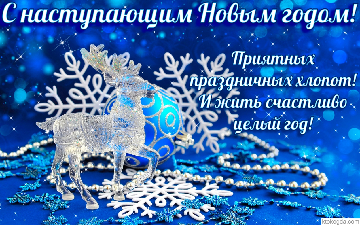 Приятных праздничных хлопот, И жить счастливо целый год