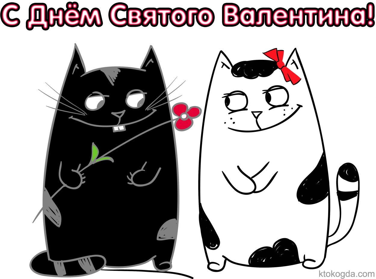 Открытка с Днем святого Валентина, пара котиков