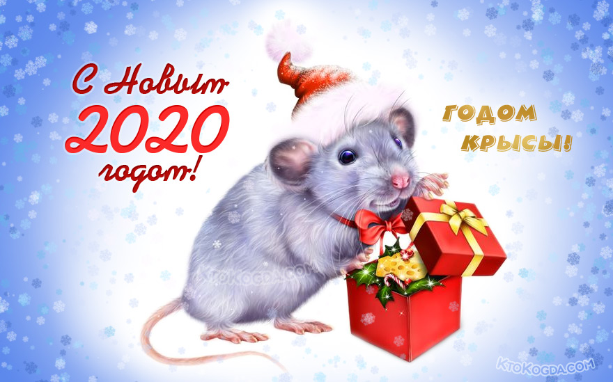 Красивая новогодняя крыса