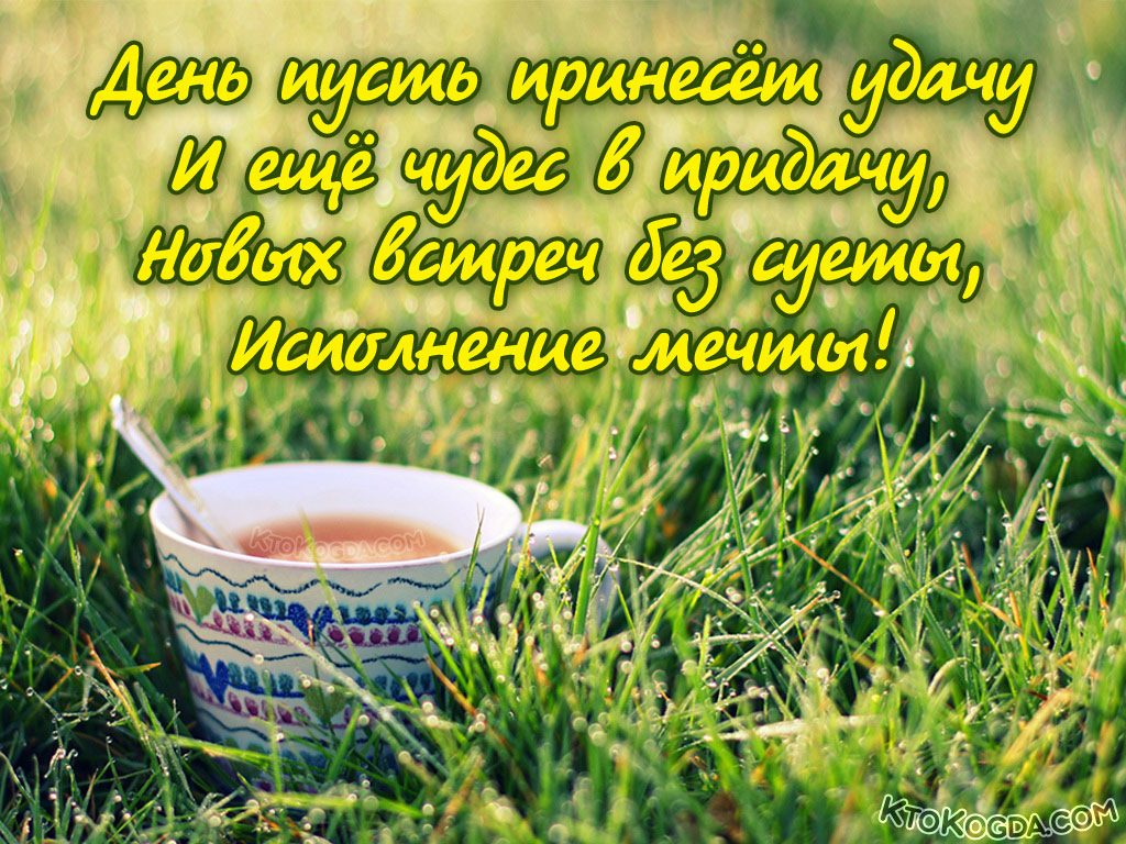 День пусть принесет удачу и еще чудес в придачу