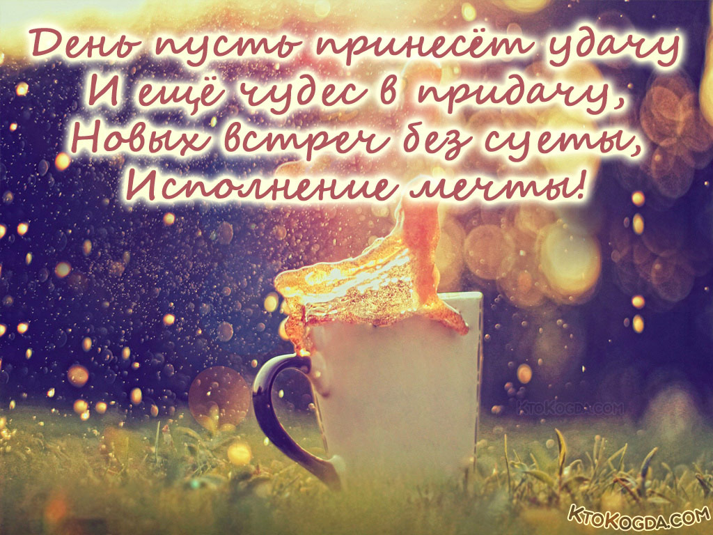 День пусть принесет удачу и еще чудес в придачу