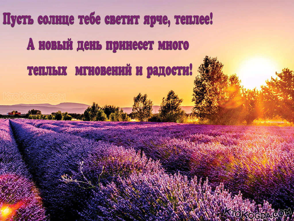 Пусть солнце тебе светит ярче, теплее!