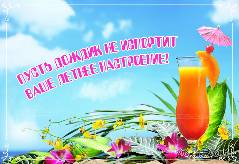 Пусть дождик не испортит ваше летнее настроение!