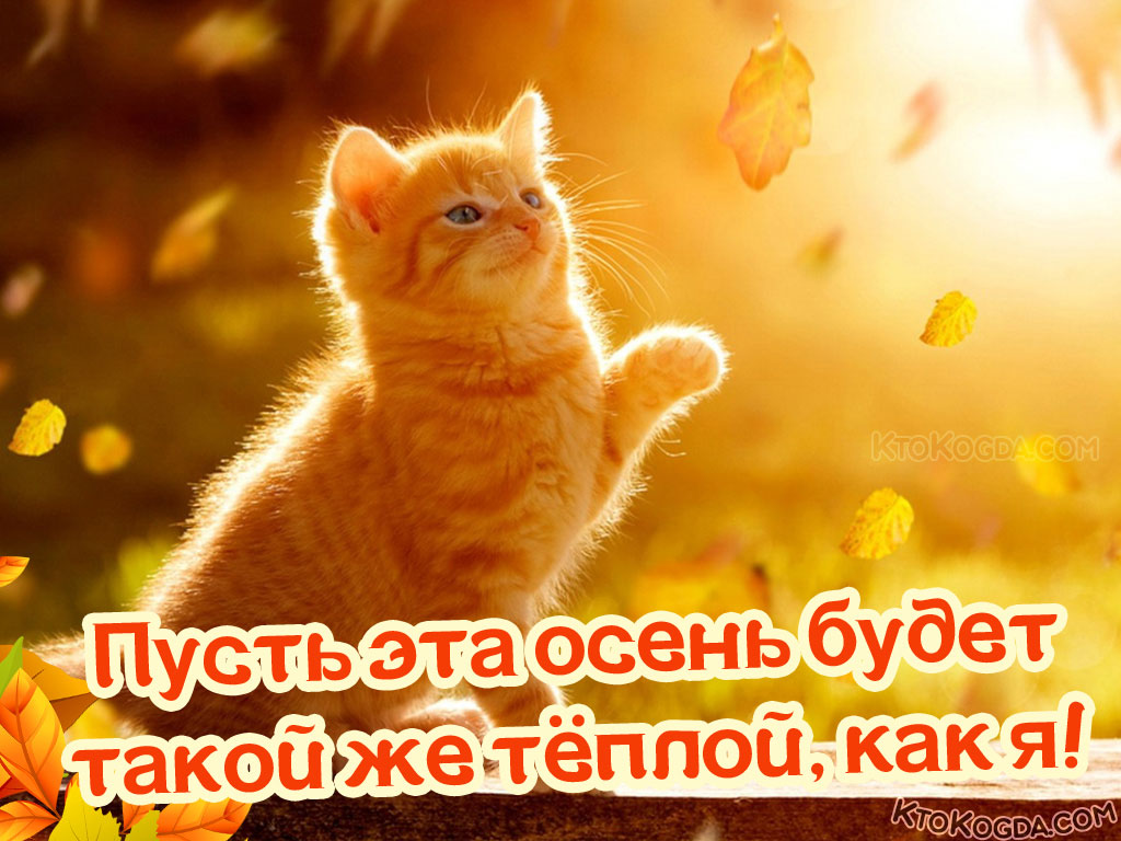 Пусть эта осень будет такой же теплой, как я!